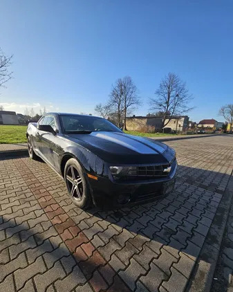 pomorskie Chevrolet Camaro cena 39500 przebieg: 191677, rok produkcji 2013 z Orzesze